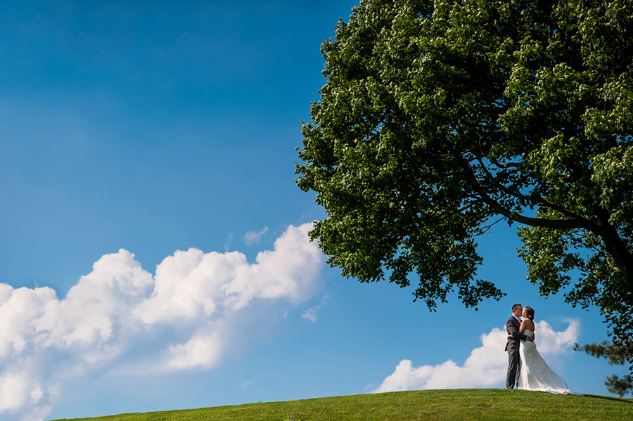 Bride and groom portrait under tree and blue skies