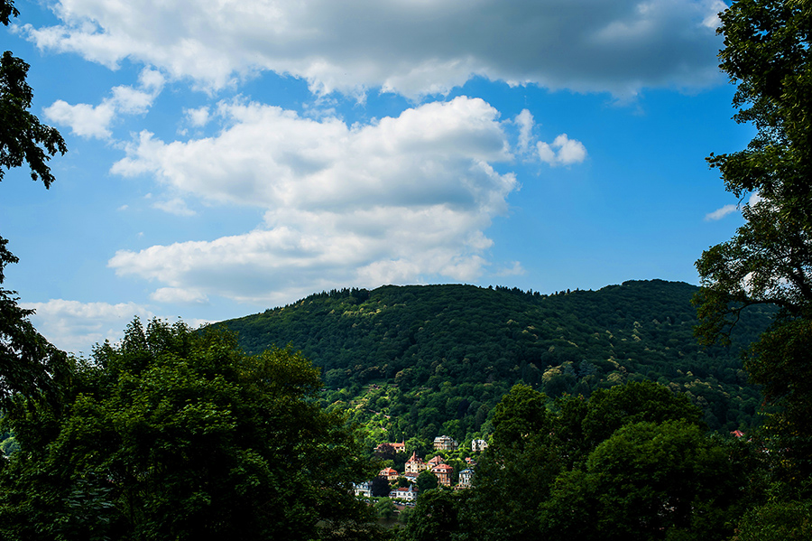Scenic view of Heidelberg Germany